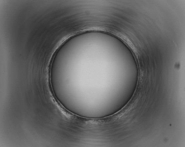 X0000093760898200711061108