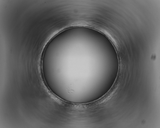 X0000093760901200711061108