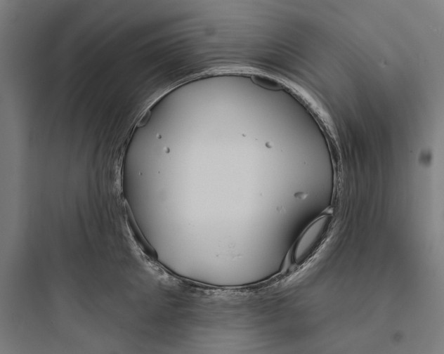 X0000093760905200711061108