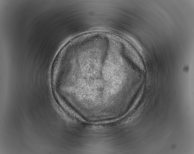 X0000093760907200711061108