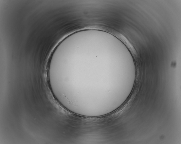 X0000093760908200711061108