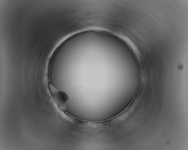 X0000093760910200711061108