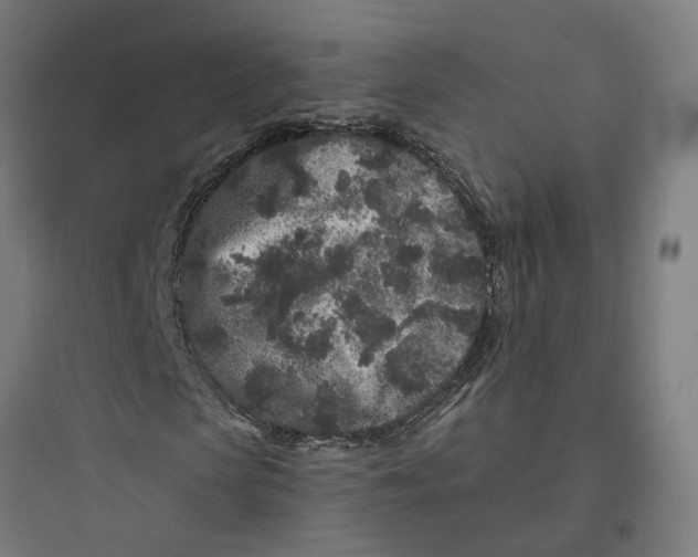 X0000093760913200711061107