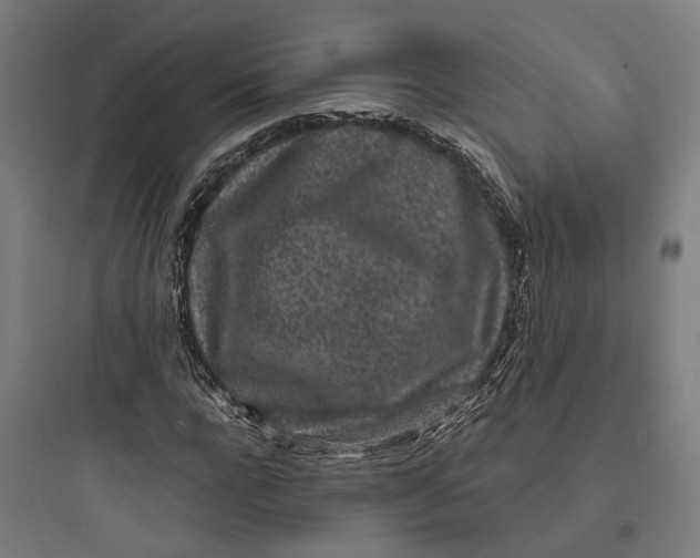 X0000093760920200711061107