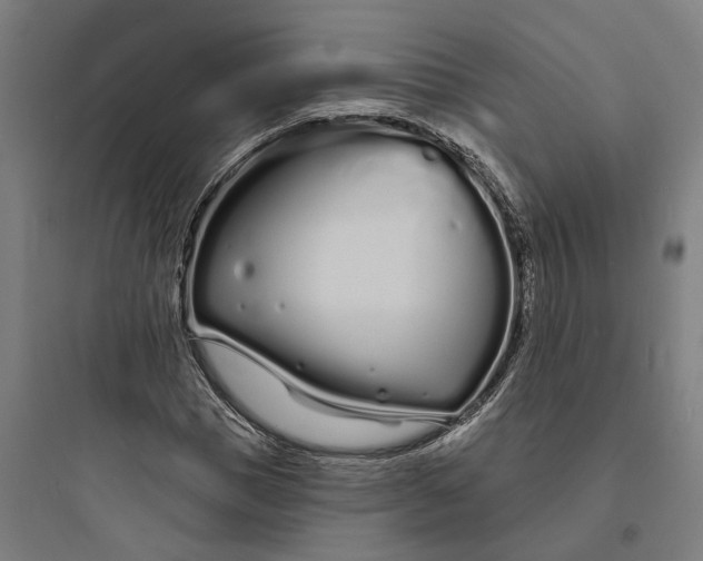 X0000093760921200711061107