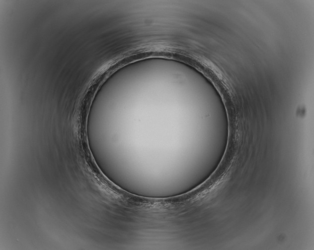 X0000093760922200711061107