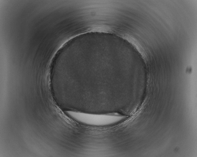 X0000093760923200711061107