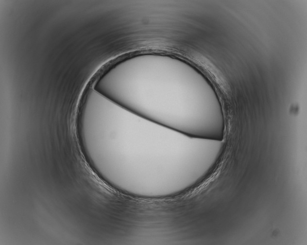 X0000093760924200711061107