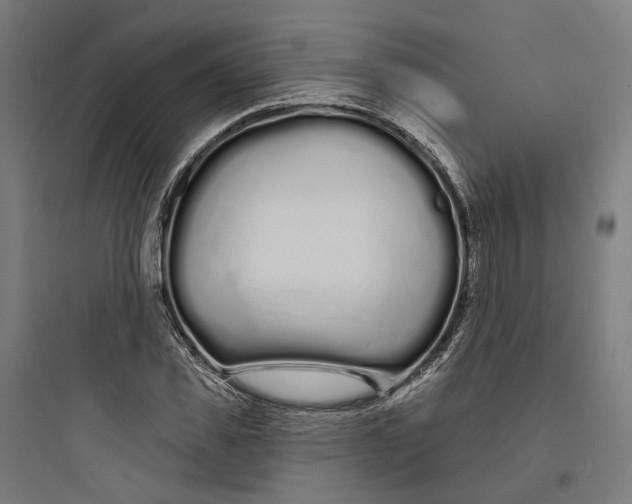 X0000093760925200711061107