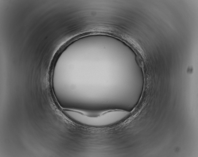 X0000093760928200711061107