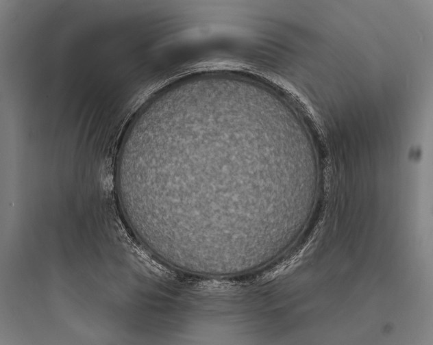 X0000093760929200711061107