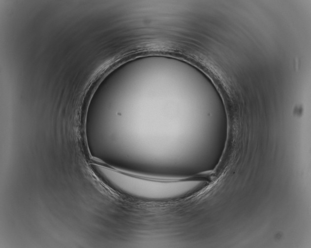 X0000093760930200711061107