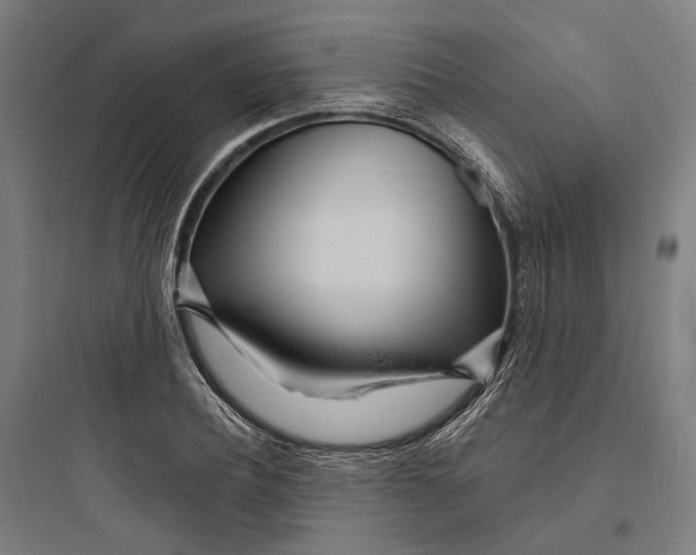 X0000093760932200711061107