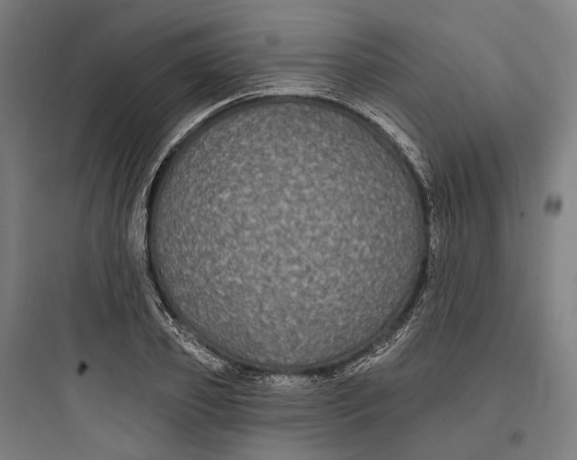 X0000093760933200711061107