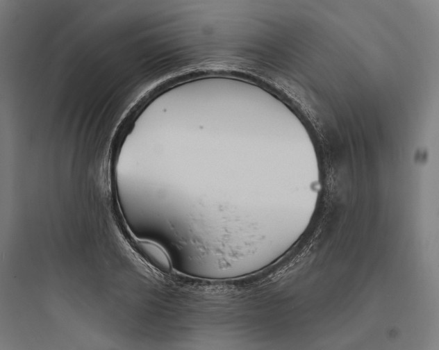 X0000093760934200711061107