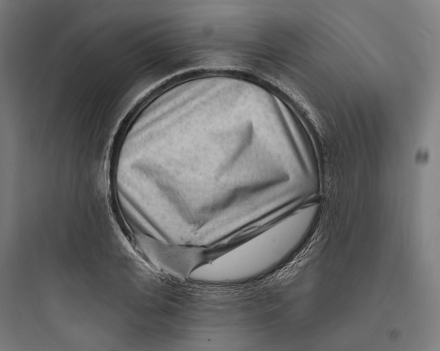 X0000093760935200711061107