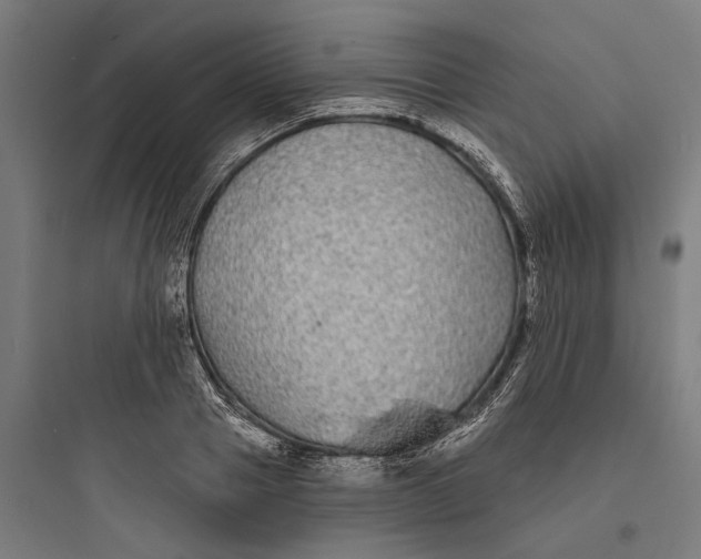 X0000093760937200711061107