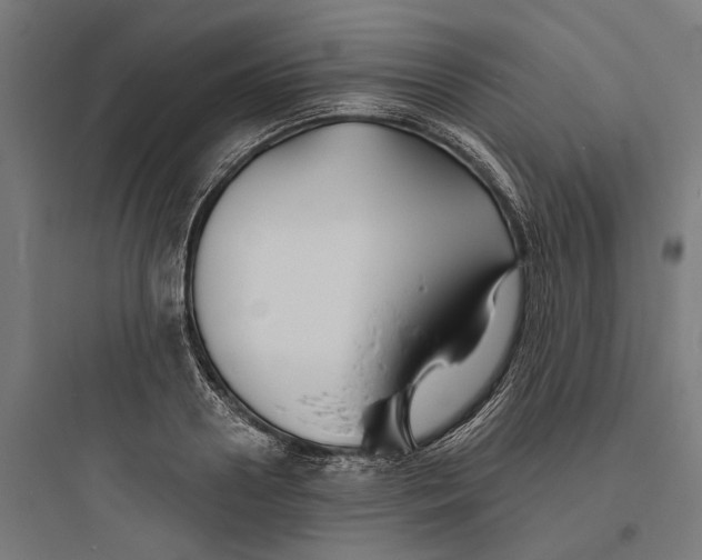 X0000093760938200711061107