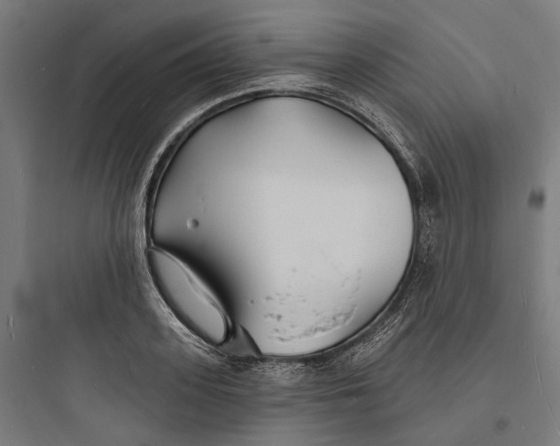 X0000093760939200711061108