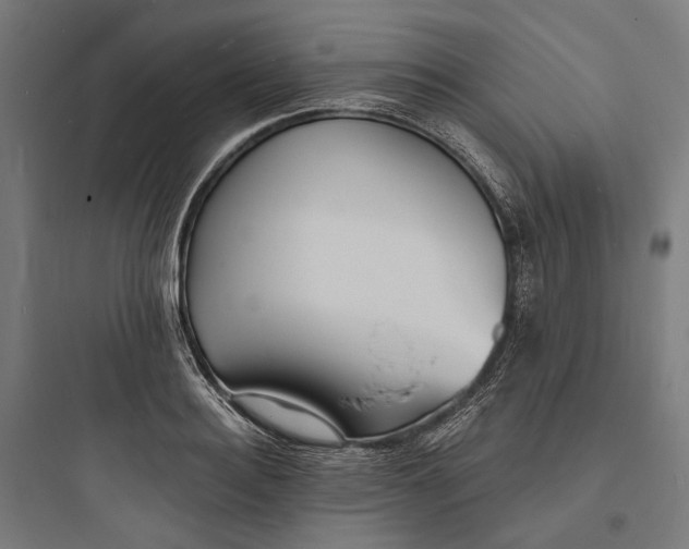 X0000093760940200711061108