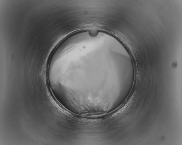 X0000093760941200711061108