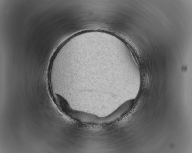 X0000093760943200711061108