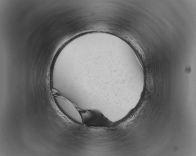 X0000093760944200711061108