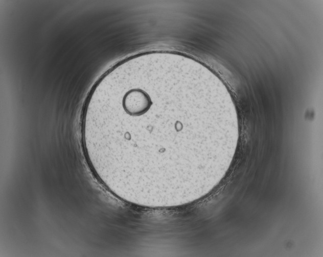 X0000093760950200711061108