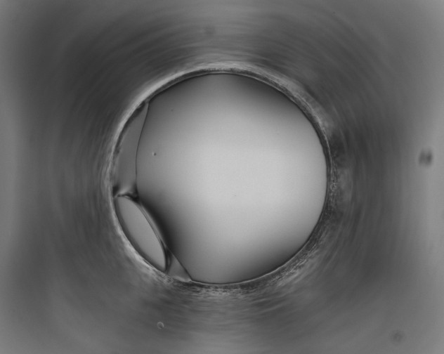 X0000093760951200711061108