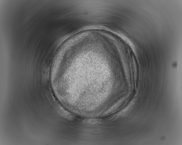 X0000093760953200711061108