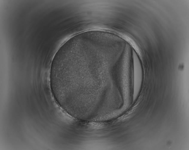 X0000093760954200711061108