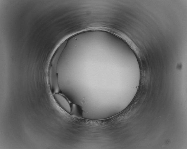 X0000093760955200711061108