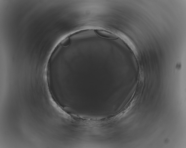 X0000093760958200711061108