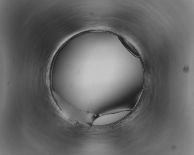 X0000093760959200711061108