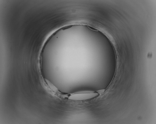 X0000093760960200711061108