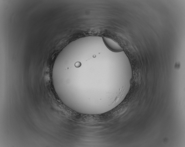 X0000093760962200711061107