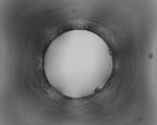 X0000093760964200711061107