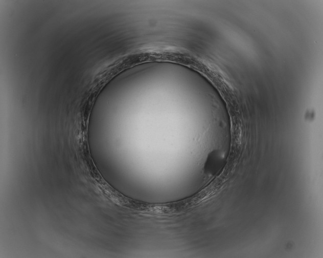 X0000093760966200711061107