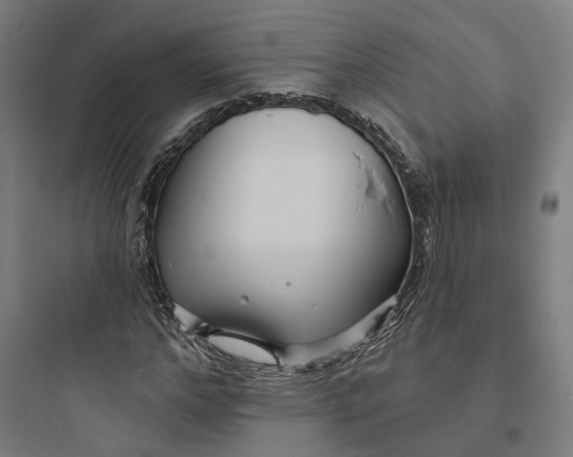 X0000093760968200711061107