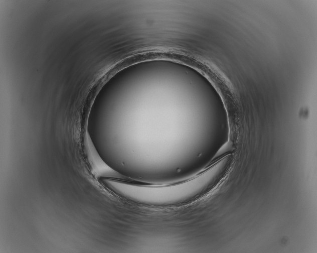 X0000093760969200711061107