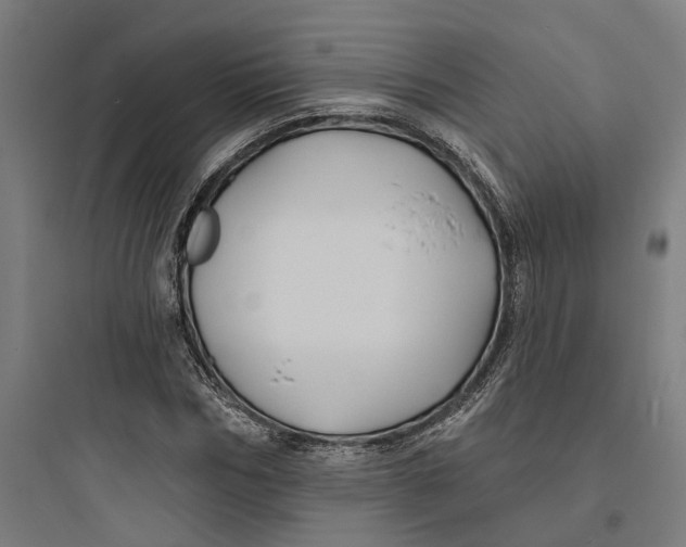 X0000093760970200711061107