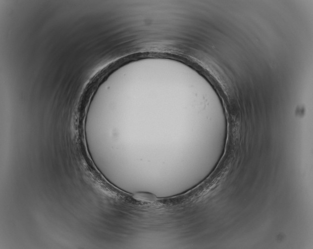 X0000093760971200711061107