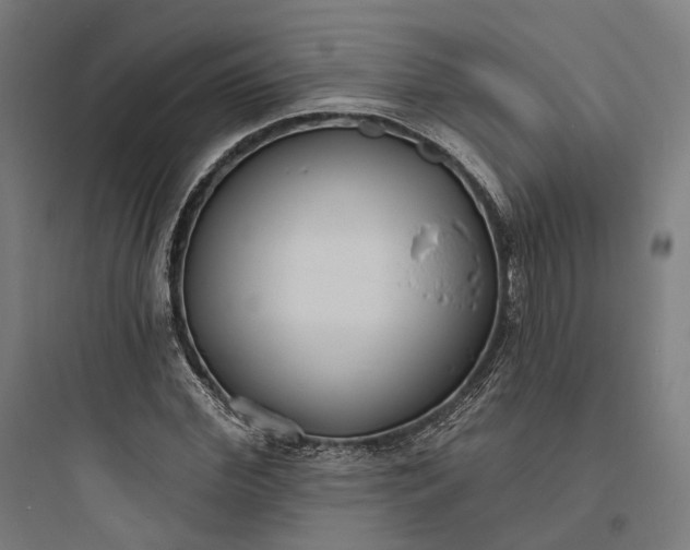 X0000093760972200711061107