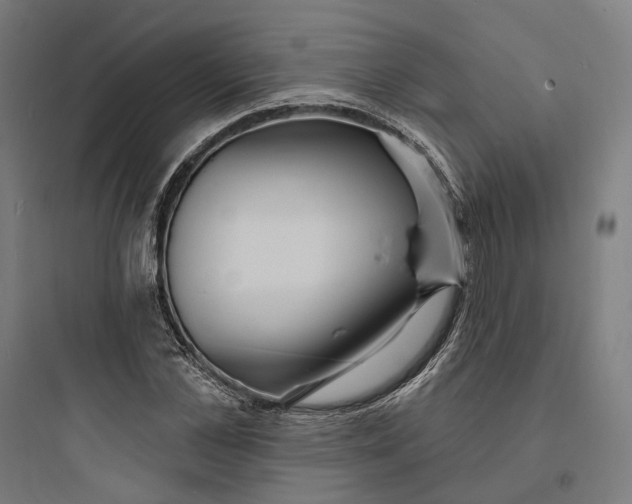 X0000093760973200711061107