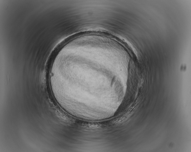 X0000093760975200711061107