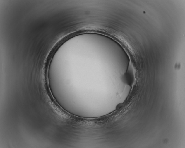 X0000093760976200711061107