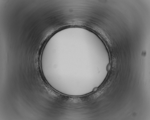 X0000093760978200711061107