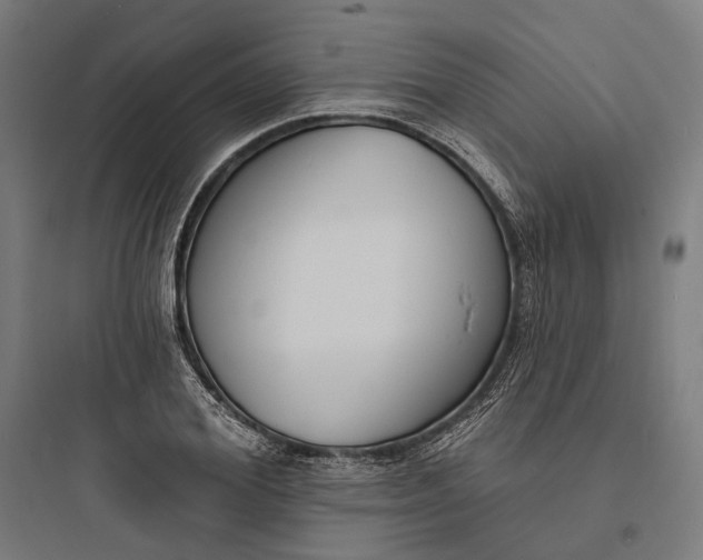 X0000093760980200711061107