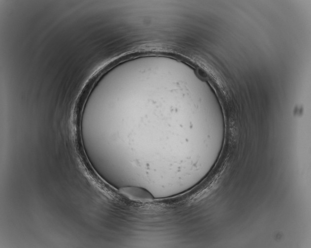 X0000093760981200711061107