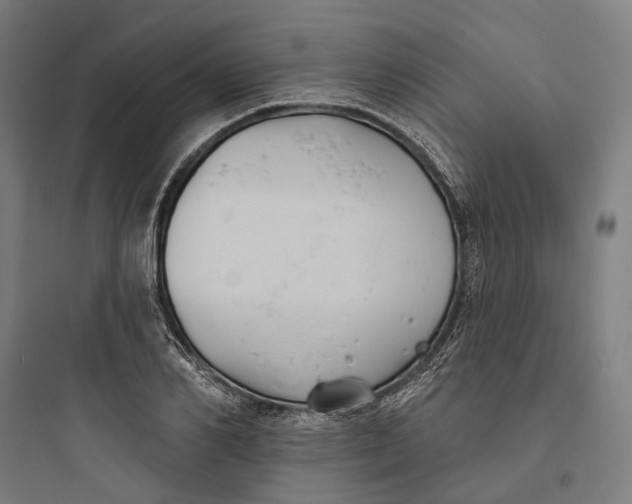 X0000093760982200711061107